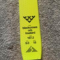 Black crows orb freebird