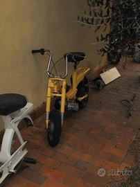  benelli motorella 
