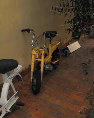 benelli motorella 
