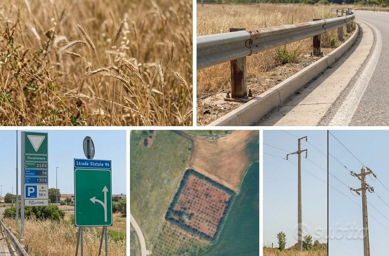 16.000 metri di terra zona Altamura-pescariello - Vista 2