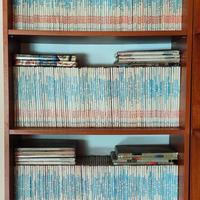 Mister No collezione completa 1-379 originali