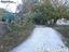 Immagine 7