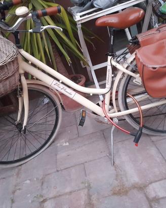 Bici da donna con cestino e borse laerali