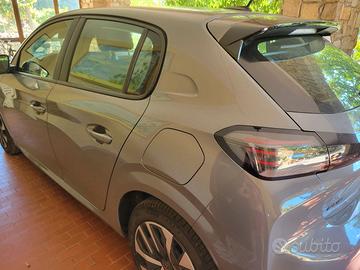 Pegiot 208