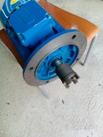 motore elettrico 