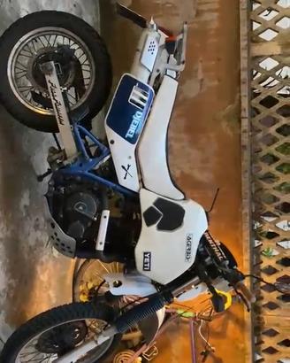 Suzuki DR Djebel 650