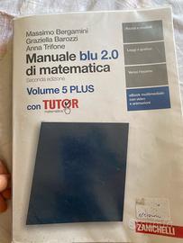 Manuale blu 2.0 di matemarica