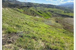 Terreno Agricolo Casalincontrada [A4332645]