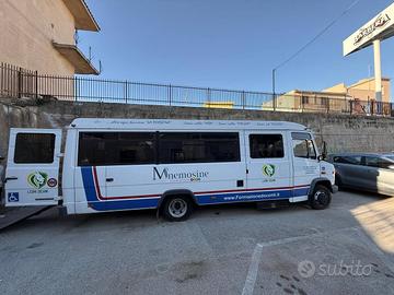 Pulmino per il trasporto persone con disabilità