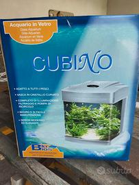 Acquario