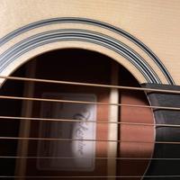 Takamine Gsn 10