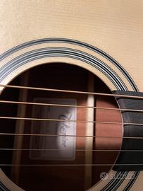 Takamine Gsn 10