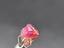 Immagine 6
