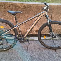 Mountain bike Rockreider