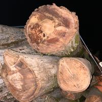 Legna in stanga