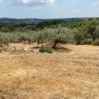 Terreno agricolo a Cassaro