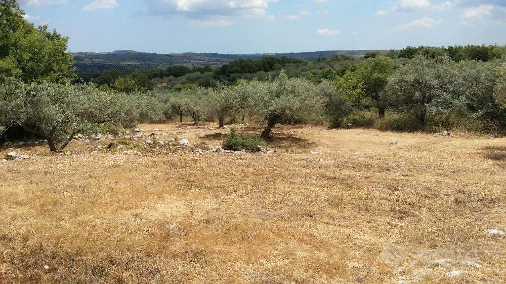 Talamh, 4874 m²