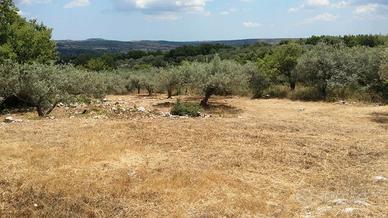 Terreno agricolo a Cassaro