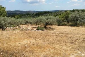 Terreno agricolo a Cassaro