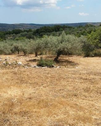 Terreno agricolo a Cassaro