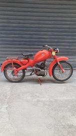 motom 