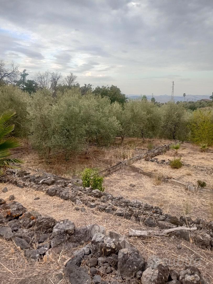 terreno agricolo - Vista 3
