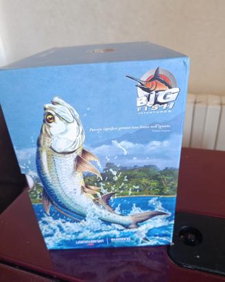 Cofanetto completo 12 DVD Big Fish Adventures