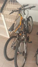 coppia di biciclette 