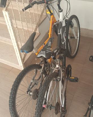 coppia di biciclette 