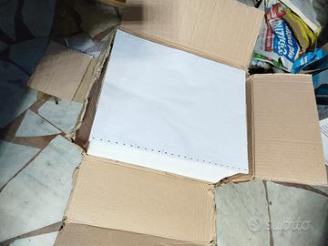 Modulo continuo 80 col