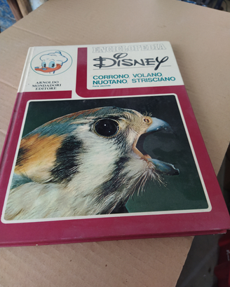 Enciclopedia Disney