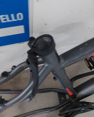 Telaio bici