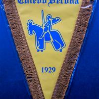 Gagliardetto calcio CHIEVOVERONA