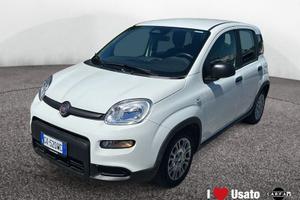 FIAT Pandina New PANDA Panda Serie 7 1.0 70cv...