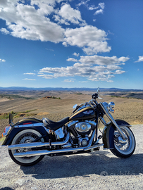 Softail Deluxe FLSTN