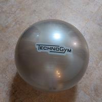 Technogym Wellness Ball Training Fit Ball Nuova