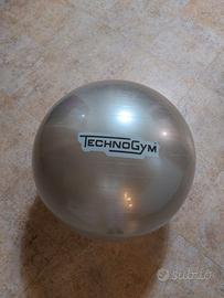 Technogym Wellness Ball Training Fit Ball Nuova