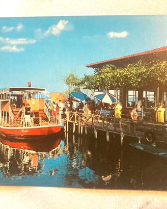 Cartolina Nuova Torre de Lago Viareggio Anni ‘70