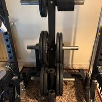 Dischi bumper lacertosus