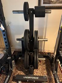 Dischi bumper lacertosus