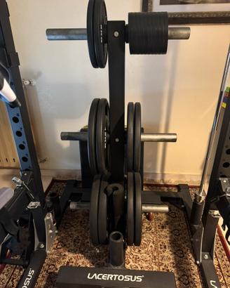 Dischi bumper lacertosus