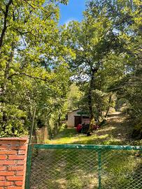 Terreno e deposito attrezzi