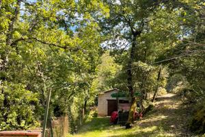 Terreno e deposito attrezzi