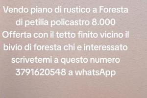 Piano a Foresta di Petilia Policastro