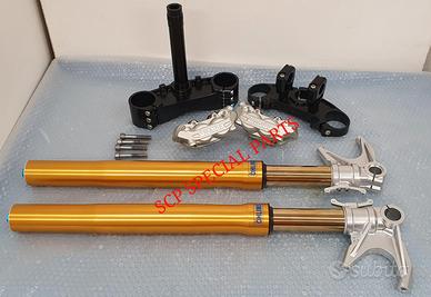 DUCATI MONSTER AVANTRENO OHLINS PIASTRE RICAVATE