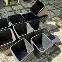 78x vaso quadrato nero da 11 litri 22x22x26 usati