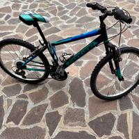 Bicicletta ragazzo montain bike
