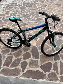 Bicicletta ragazzo montain bike