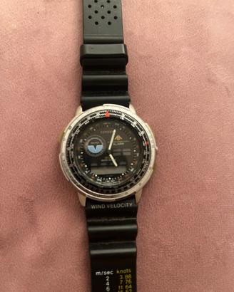 Citizen Wingman Promaster