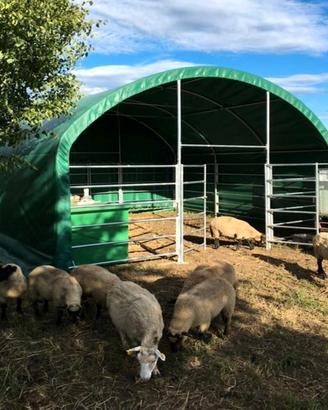 Ripari per il bestiame 6x6 m